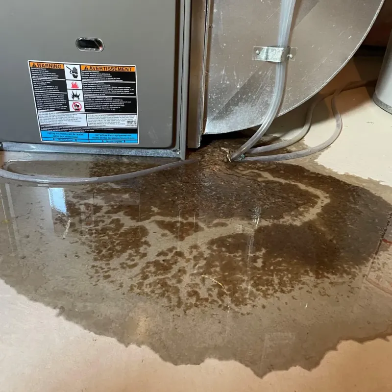 Appliance Leak Cleanup in Castanea, PA